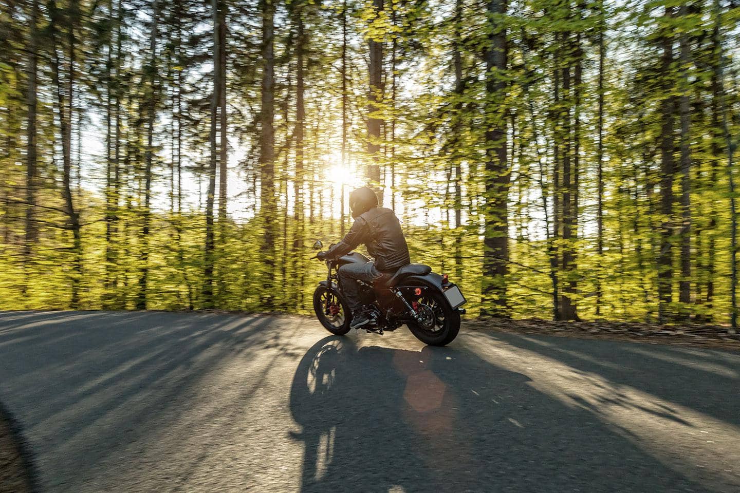 En person kører på motorcykel gennem en skov, hvor sollys filtrerer ned gennem træernes grene og lyser stien op