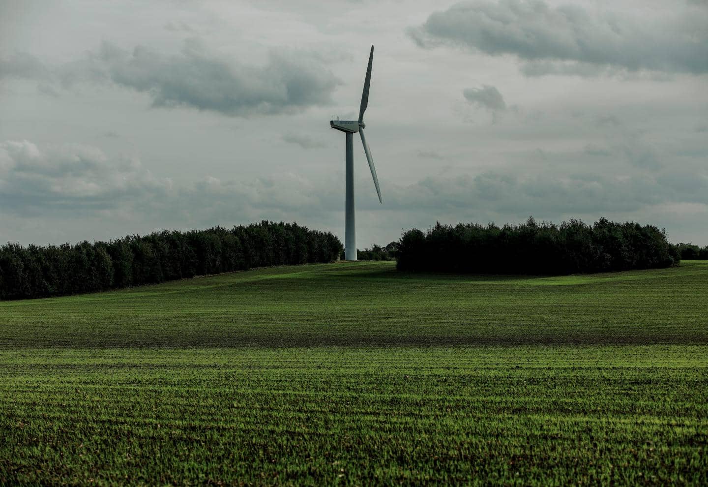 Grå himmel over grøn mark med skov og vindmølle